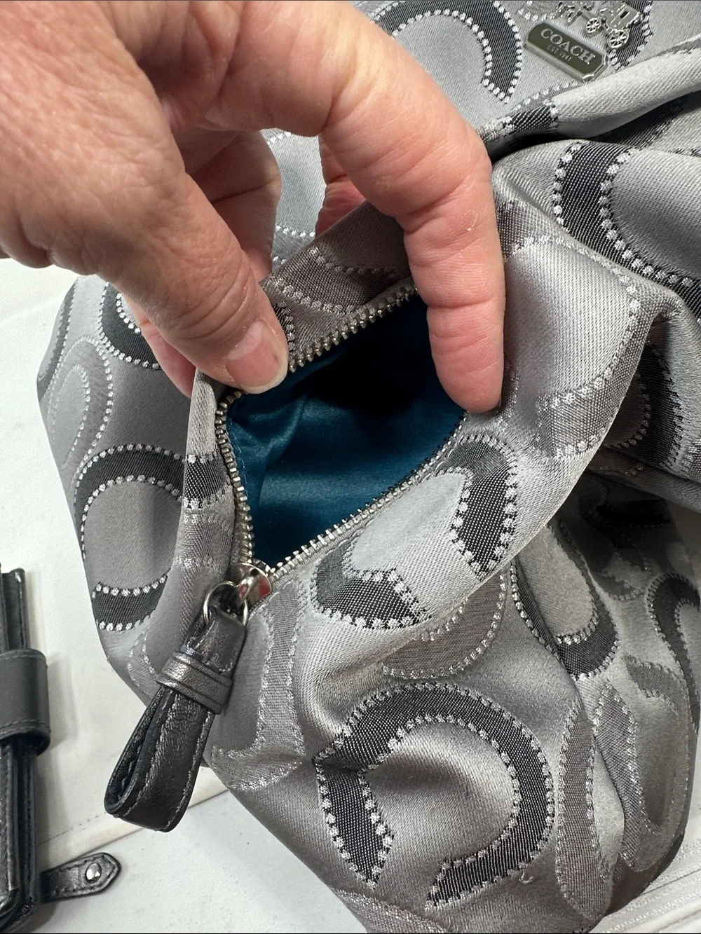 Coach hobo/ wallet
